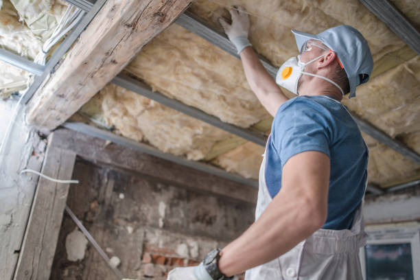 Best Cellulose Insulation in Haledon, NJ
